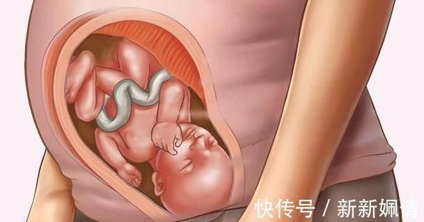 胎动|怀孕8个月,如果有这6种感觉,说明胎儿很健康,孕妇大可放宽心