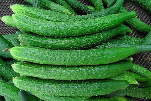 春分适合养生,坚持吃的食物,清热利水,缓解便秘,皮肤更细腻