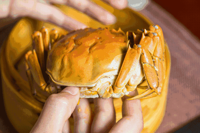 苏轼|苏轼、鲁迅、汪曾祺…是什么江南美食让他们念念不忘