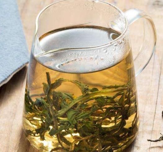 清热解毒|医生提醒:一壶蒲公英水可喝到医院去,有4个“禁忌”需知晓!