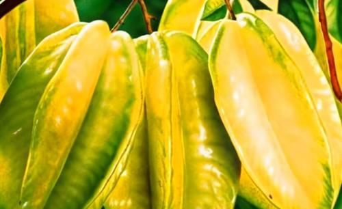 补充营养|女性50对后想长寿全靠吃，3种食物不错过，补充营养，有益健康