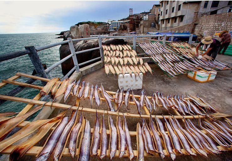  留普过大年，只要尝一口鳗鱼，就爱上了海岛的年|普陀年味 | a642