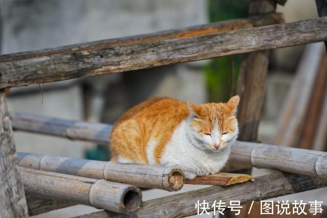 盱眙!9个带生僻字的地名,看着熟张嘴就说错,你能读对几个?