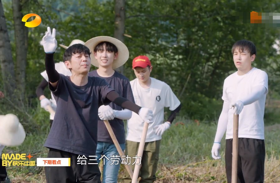 银屏|下期《向往5》预告:张子枫“银屏初吻”来做客,可把黄磊气坏了