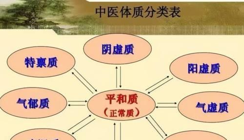 平和质|九种体质辩证:气虚、血虚、瘀血、阳虚、痰湿、阴虚,值得收藏