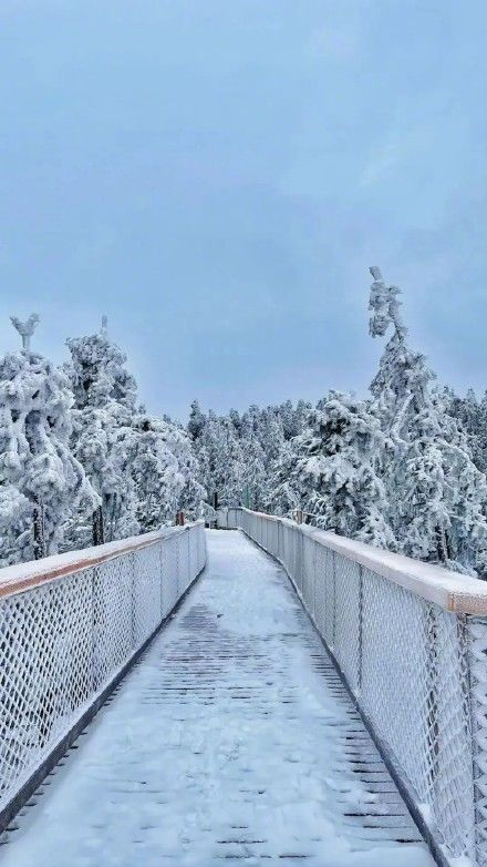 武隆游|虎年新春武隆游，玩雪赏景好安逸！