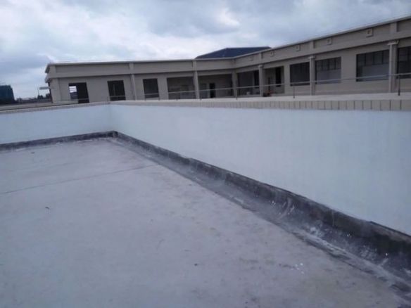 蛤蟆丸|玉兔捣的不是仙草，是蛤蟆丸！奇葩冷知识增加了