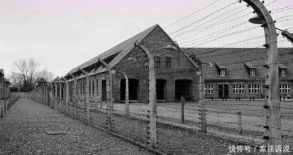 犹太妇女|一组罕见老照片,直击二战纳粹集中营,图4抓捕的全部是犹太妇女