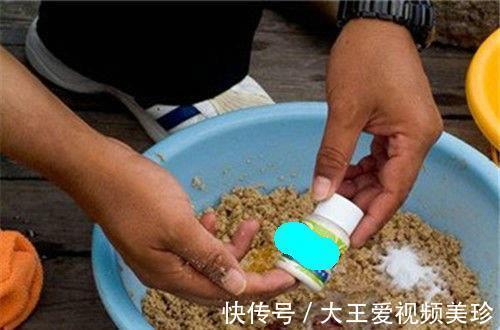 钓鱼|江西男子水库钓鱼20斤,不顾劝阻还戏称“很好玩”,最后被拘留