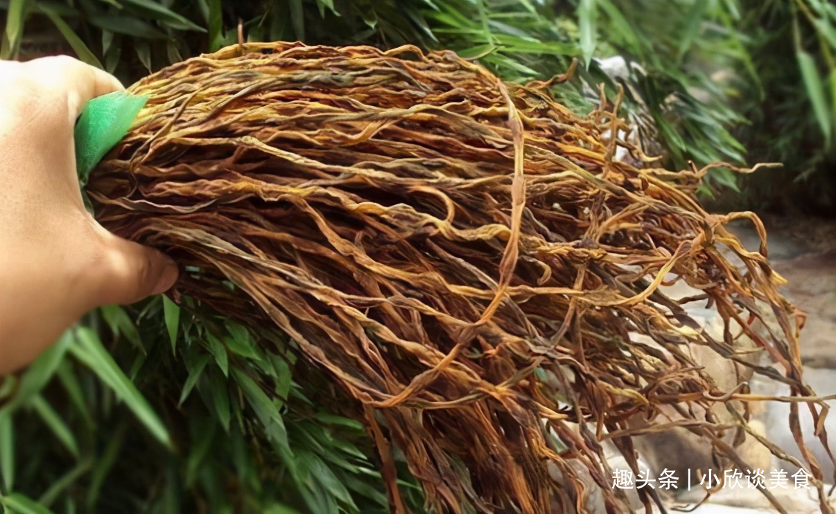 黄瓜|有4种蔬菜晒干后,比新鲜的还好吃!放1年不坏,炖肉炒菜都很香