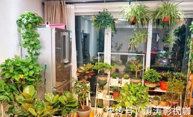 爱养花，却不会搭配盆土学学养花高手给出的方法，经济又实用