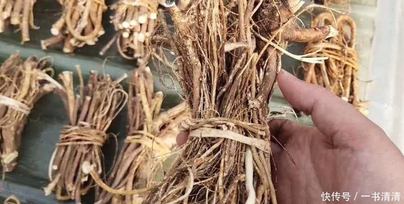 农村老大爷路边卖“树根”,很多人看无人敢买,我一看直接包圆