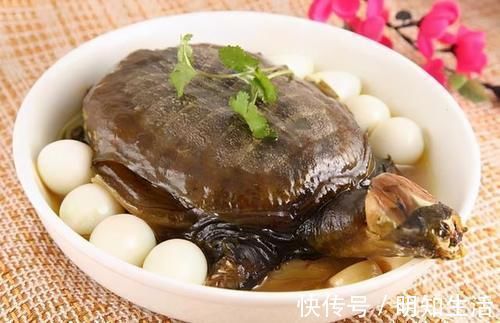 胡子鱼|被人“误解最深”的一条鱼,营养比甲鱼还高,4元一斤,却没人要