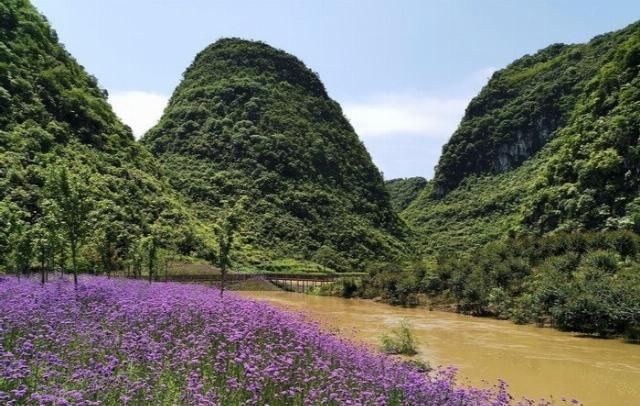 紫色|驾驶瑞虎7和媳妇去看满地的薰衣草，锁着了我的目光，流连忘返