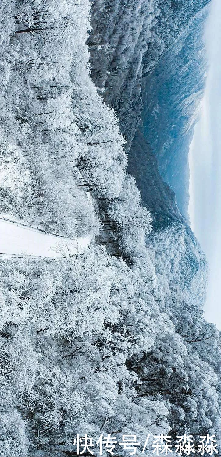 山下|十里风雪天涯路，秦岭雪乡留下吧，紫柏山下是我家