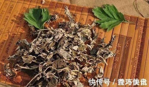 桂皮醛|提醒:吃中药时要注意,这“4类”食物尽量不要吃,别不放在心上