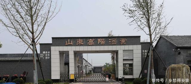 上头|老酒友喜欢的3款特产酒,价低好喝不上头,你喝过吗