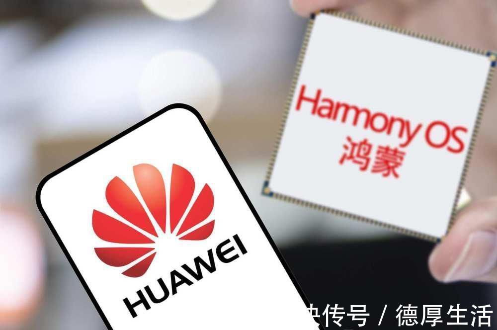 系统|半导体不是我们唯一短板,微软、苹果抢占操作系统市场95%份额!