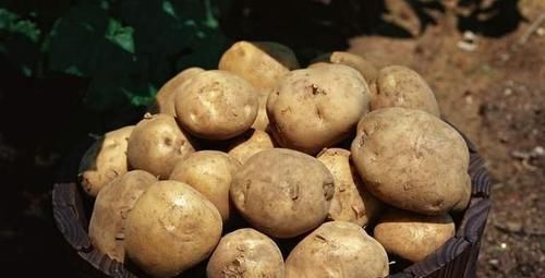 减肥|正在减肥的人,不要吃5种蔬菜,喜欢吃的赶紧戒掉吧