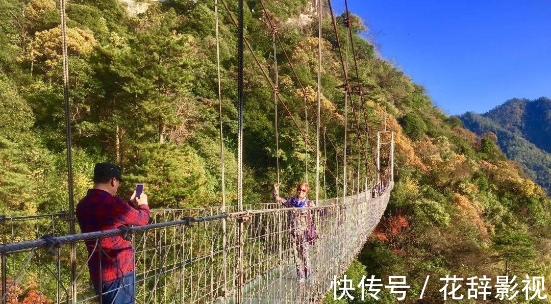 动植物|江西5A景区走红，被誉为“动植物基因库”，距抚州市105公里