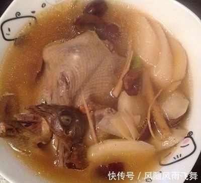 一鸽胜四鸡,有条件要多吃,教你这样炖汤,肉质鲜香嫩滑,营养高