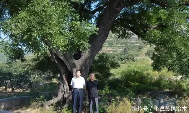 周家山顶|嵩山生态旅游区有个常家溜村，你没去过？