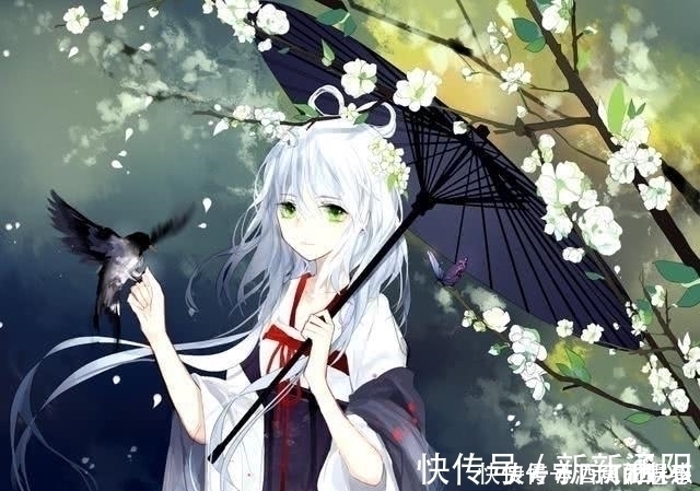 二次元|为什么越来越多的人喜欢动漫二次元除了无聊,这个才是真实原因