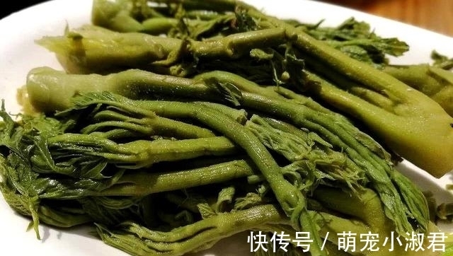 野菜|日本人眼中的高端菜,中国很多却少有人碰,营养很丰富