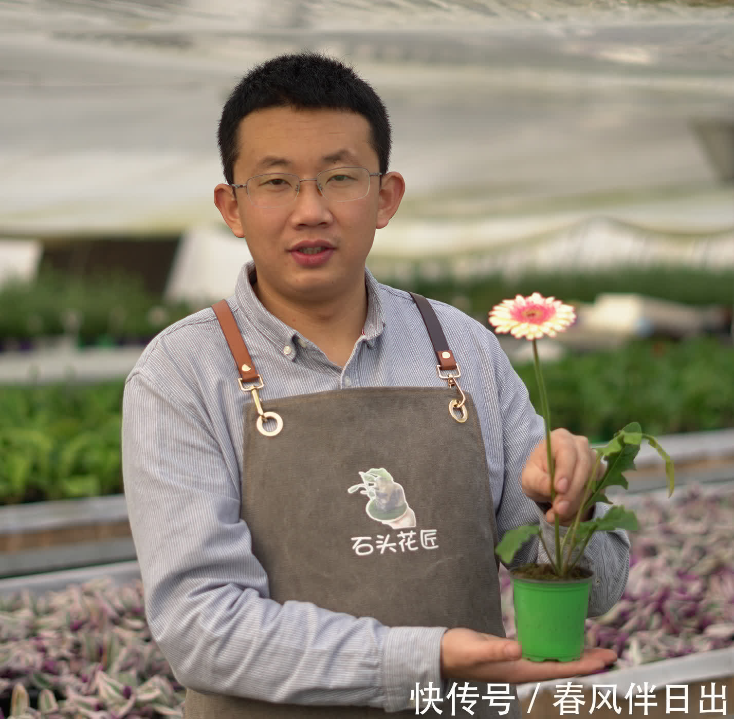 3种植物简约、大气,养在家里可以“净化空气”,第3种开花漂亮