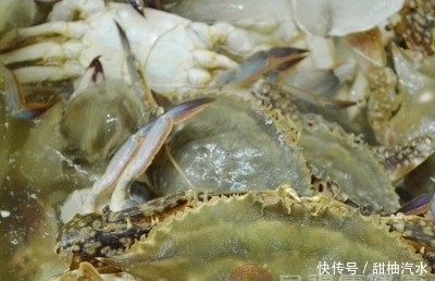  怎么吃螃蟹 12中食物不能与螃蟹一起吃