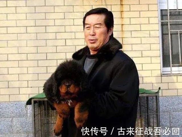 中国藏獒俱乐部|马家军教练离开赛场,靠养狗成为千万富翁,70多岁重回俱乐部执教
