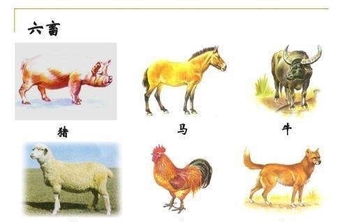 美食|在汉朝皇帝可以吃到什么美食?