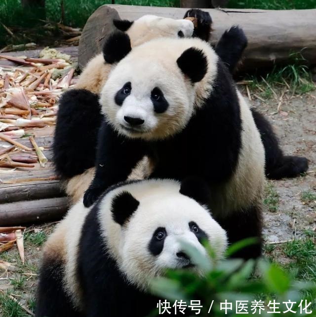 联合国钦点的“世界美食之都”,凭什么是这4座城市