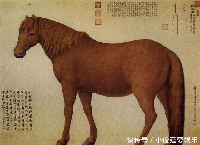 古代|汗血宝马:中国古代最顶级的战马,千米行程只需66秒