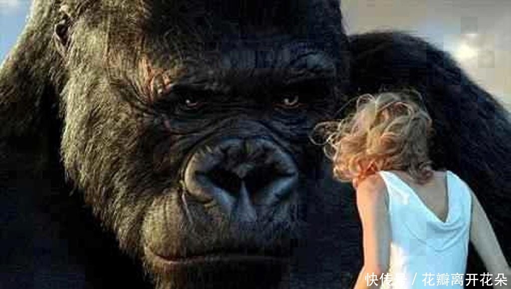 联动|哥斯拉和金刚将再度联动,两大巨兽合体会是什么样儿?