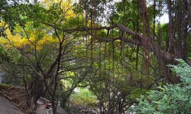 庙会|衢州走红一山脉景区，传统庙会万人云集，被赞浙西“小普陀”