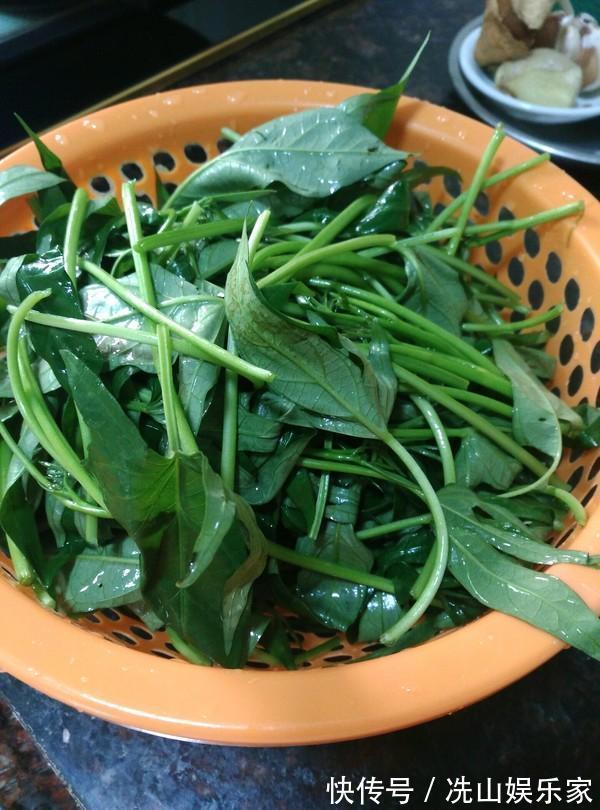 红薯叶|刮油这菜最在行,吃一次等于做一次肠道大扫除,常吃肉也能悄悄瘦