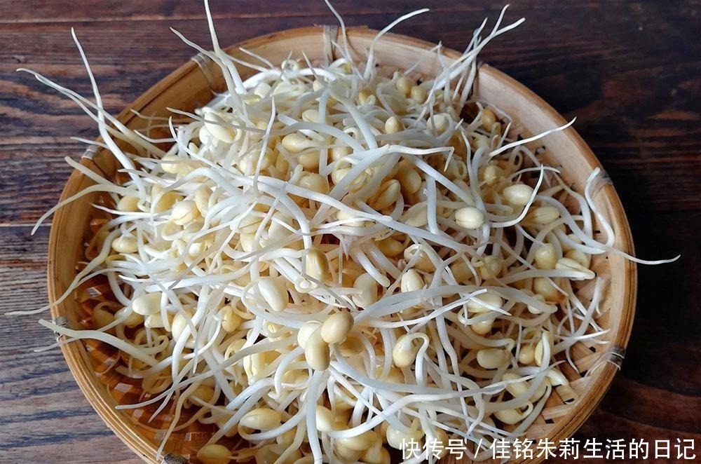 碳水化合物|同样是豆芽，原来绿豆芽和黄豆芽的区别这么大，知道后别再买错了
