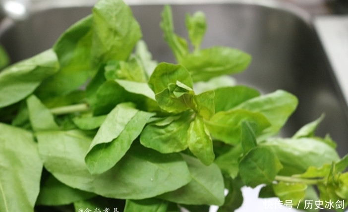 枸杞叶|大妈用20年做这碗汤,供家里三个孩子上了大学