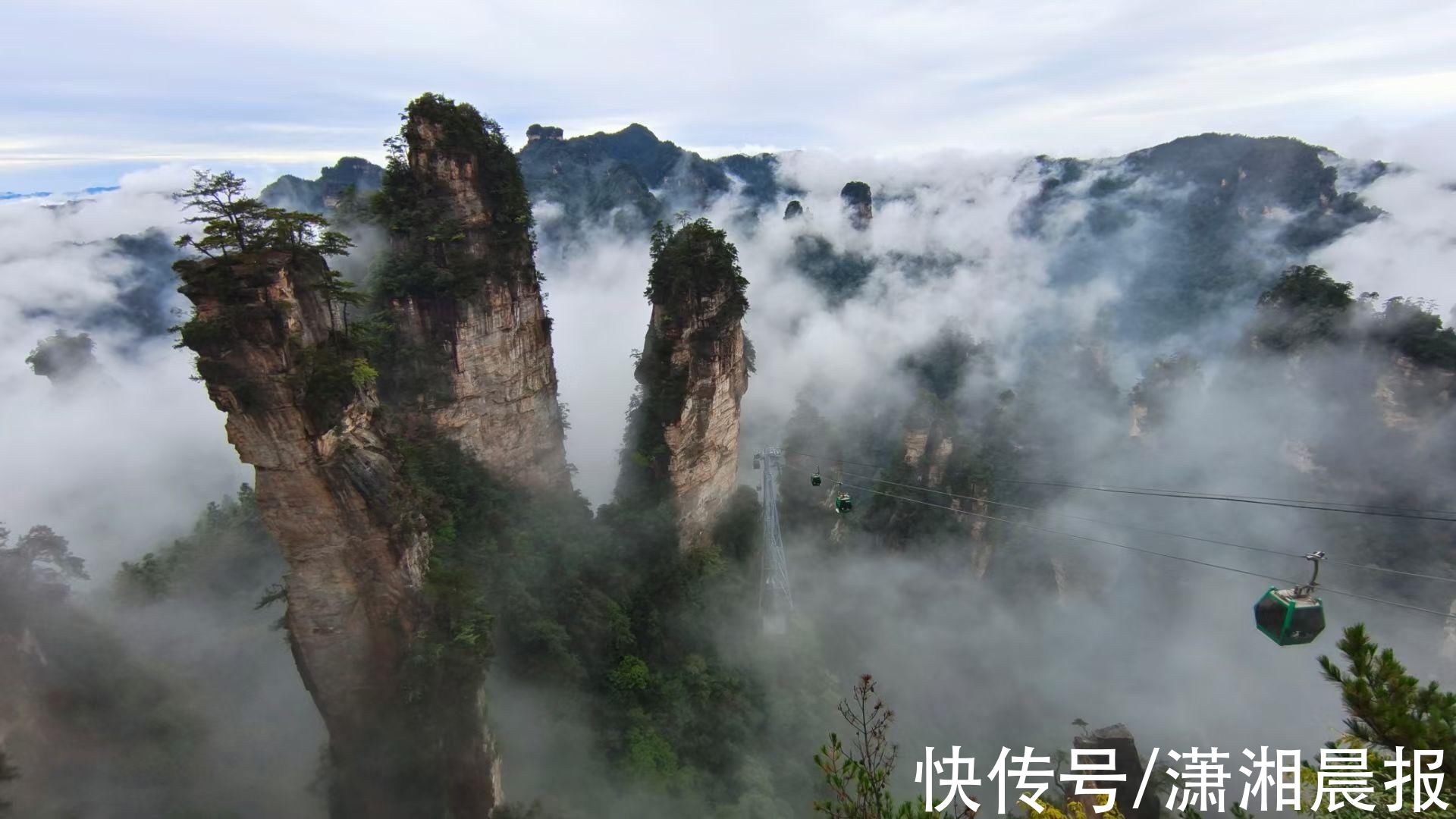 黄石寨|张家界黄石寨连续出现奇美云海景观