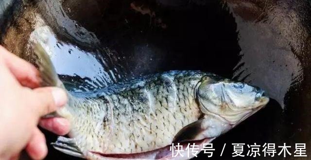 炖鱼汤时，直接加水炖不好喝！做好3个步骤，鱼汤浓白不腥，好喝！