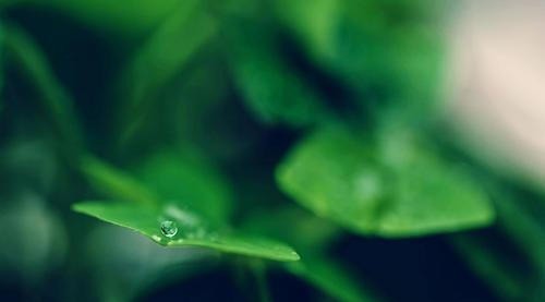 孝顺|出生在几点钟的孩子,智商高,长大后孝顺又有出息,光宗耀祖