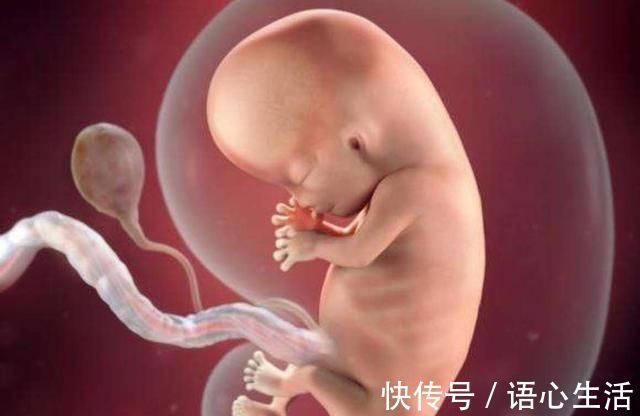 高龄产妇|水中分娩的宝宝,出生时会“呛水”吗?看完后感叹生命的神奇