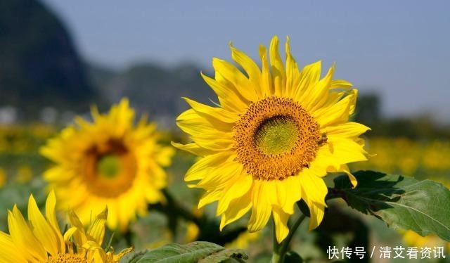 人到低谷,不管多穷,都别喊穷