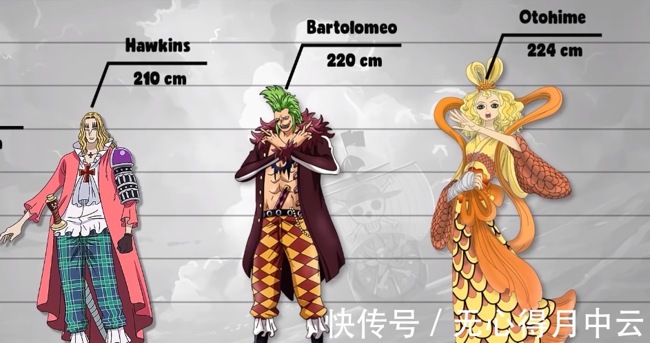 唐吉坷德|海贼王数据公示3路飞比亲爹矮82公分,唐吉坷德家族人才济济