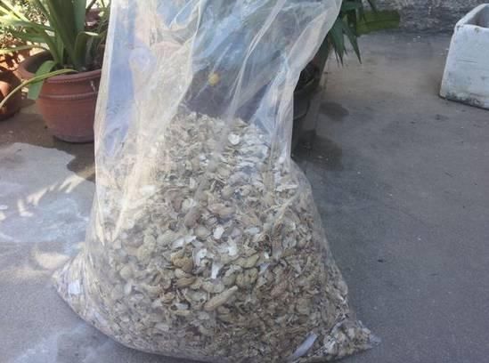 老花匠|老花匠:扔4种“东西”,就是扔钱,比花肥还好用,不花钱!