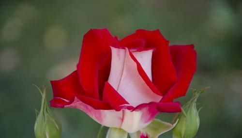 身高|关于男生的身高问题,大家一起来来讨论下!