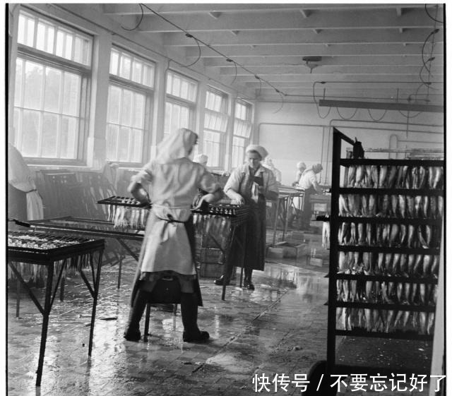 解决问题|连暴动都不能解决问题苏联其实很富,只是财富都被偷走了