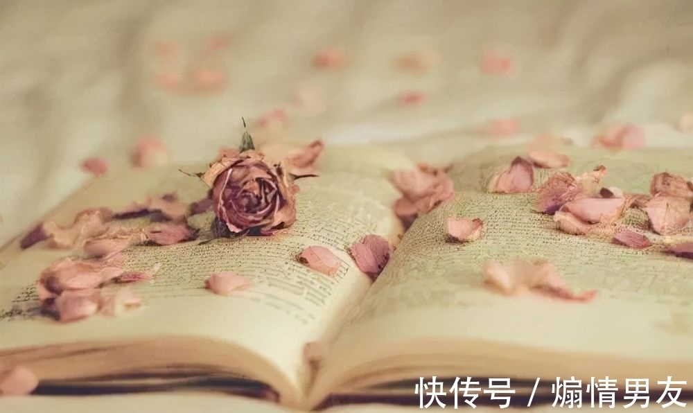 洋葱阅读法@揭秘!大神如何一年读700本书?