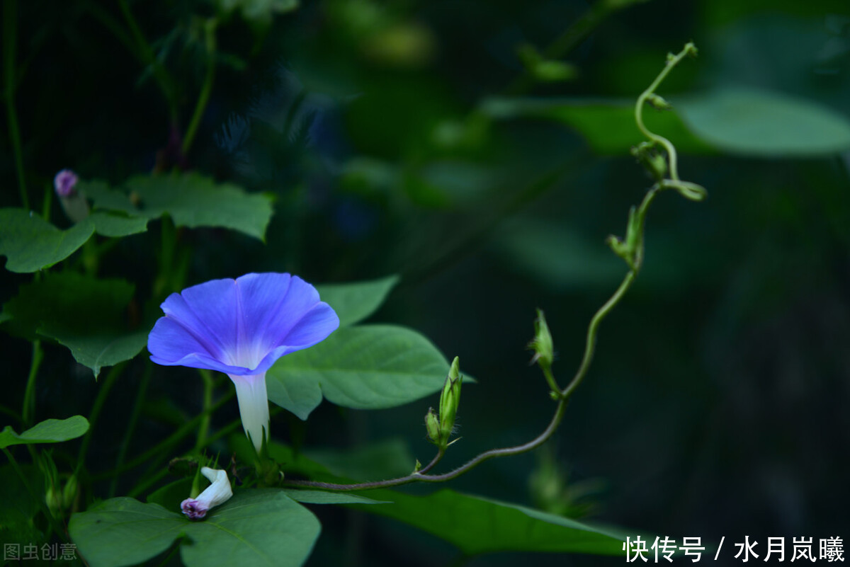 山形|过眼年华,流年轻度,人世几回伤往事,山形依旧枕寒流